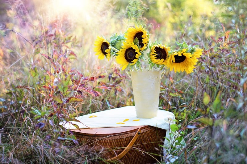 Spellbinding Flowers